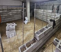 VASO DE COMPENSACION1